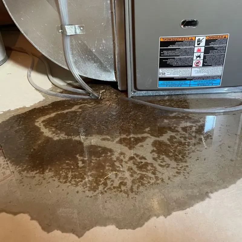 Pipe Burst and Leak Restoration in Walker Mill, MD